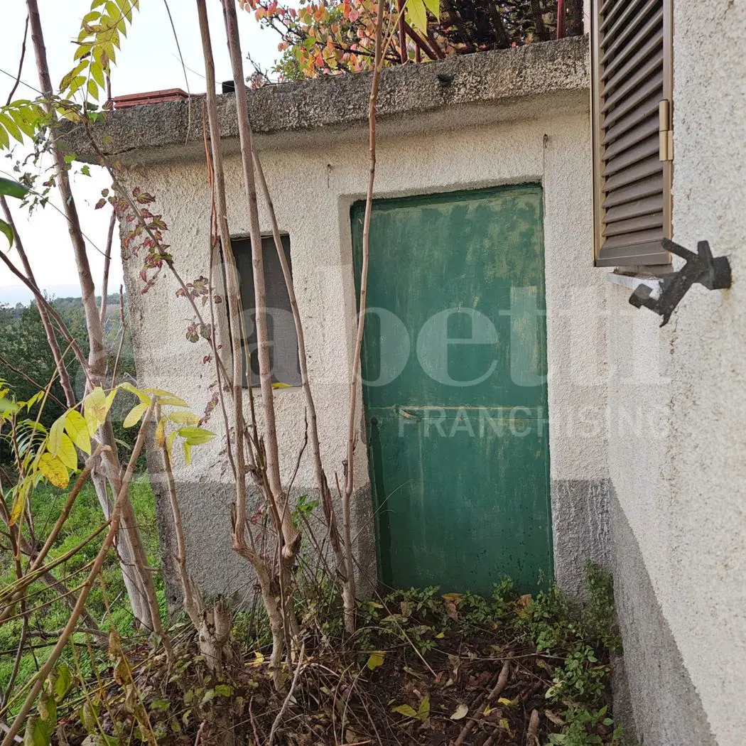 Immagine per Appartamento in vendita a Maierà via Contrada Lauro