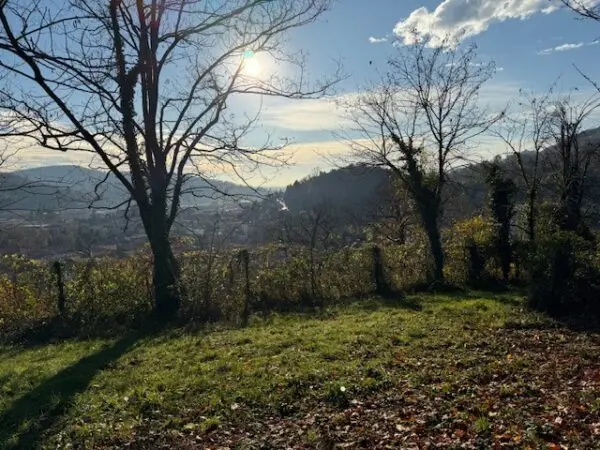 Terreno Agricolo via Trevasco 48, Nembro