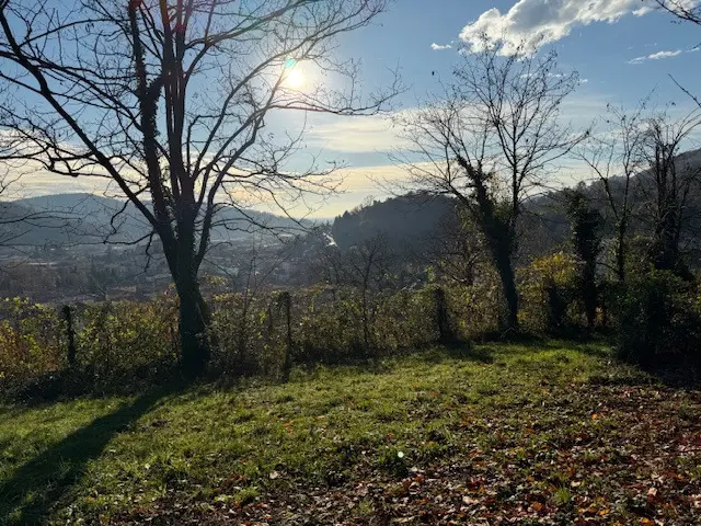Immagine per Terreno Agricolo in vendita a Nembro via Trevasco 48