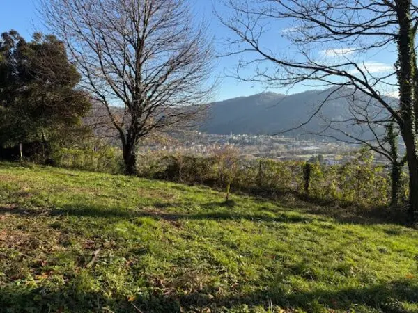 Terreno Agricolo via Trevasco 48, Nembro