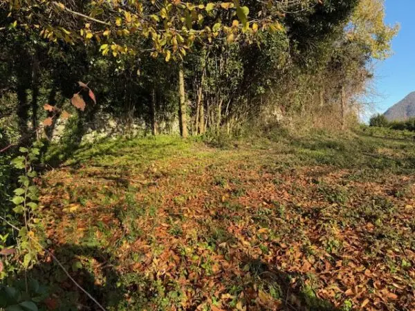 Terreno Agricolo via Trevasco 48, Nembro