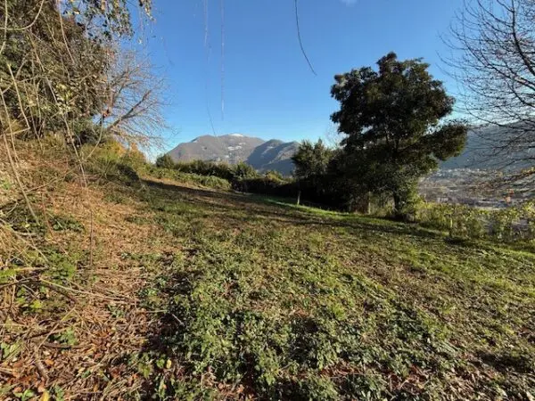Terreno Agricolo via Trevasco 48, Nembro