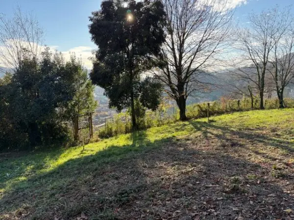 Terreno Agricolo via Trevasco 48, Nembro