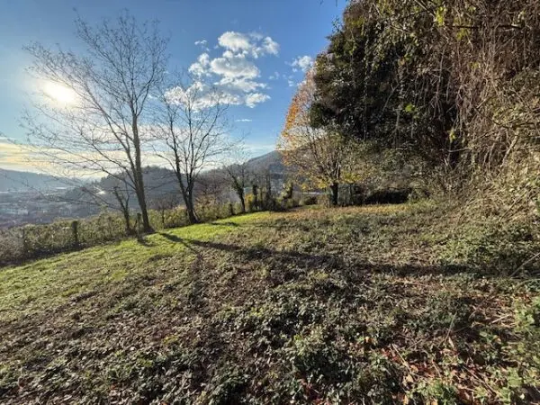 Terreno Agricolo via Trevasco 48, Nembro
