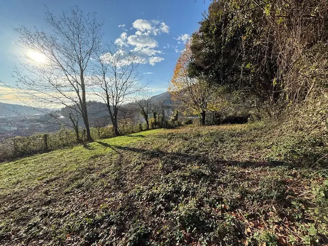 Immagine per Terreno Agricolo in vendita a Nembro via Trevasco 48