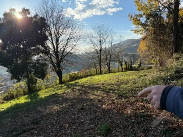 Terreno Agricolo via Trevasco 48, Nembro