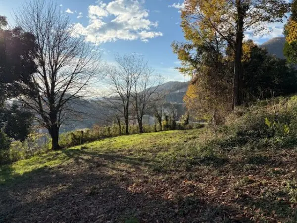 Terreno Agricolo via Trevasco 48, Nembro