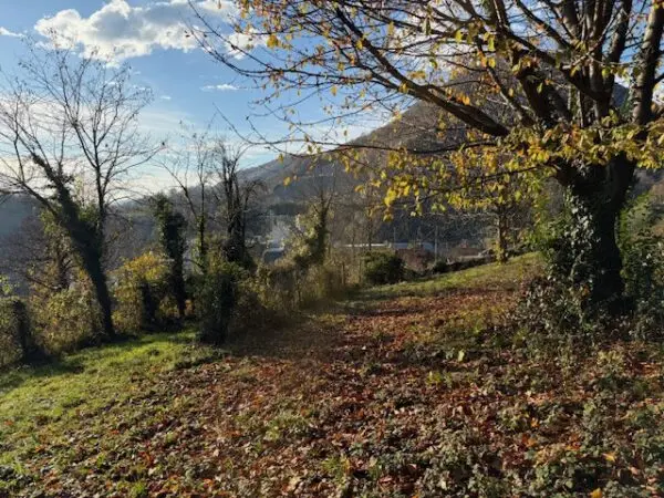 Terreno Agricolo via Trevasco 48, Nembro