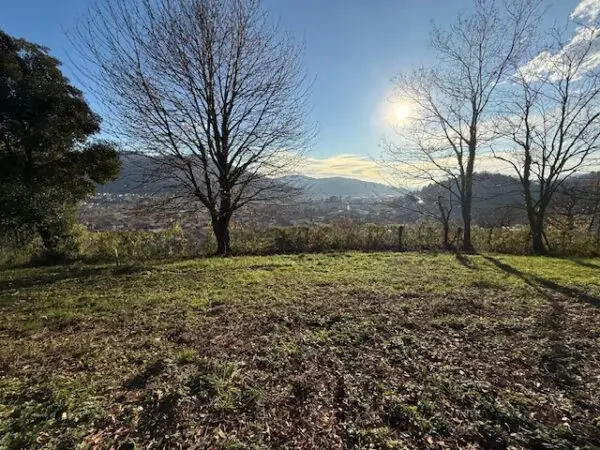 Terreno Agricolo via Trevasco 48, Nembro