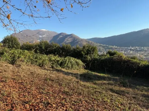 Terreno Agricolo via Trevasco 48, Nembro