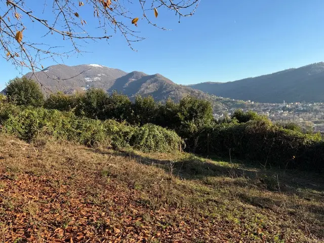 Immagine per Terreno Agricolo in vendita a Nembro via Trevasco 48