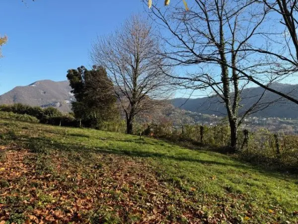 Terreno Agricolo via Trevasco 48, Nembro