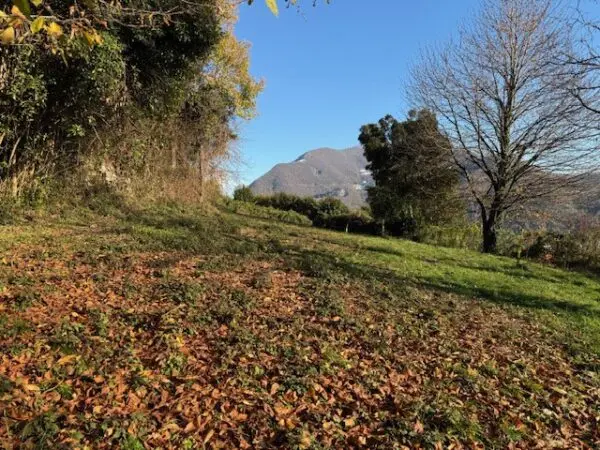 Terreno Agricolo via Trevasco 48, Nembro