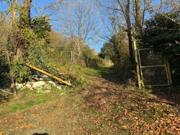 Terreno Agricolo via Trevasco 48, Nembro