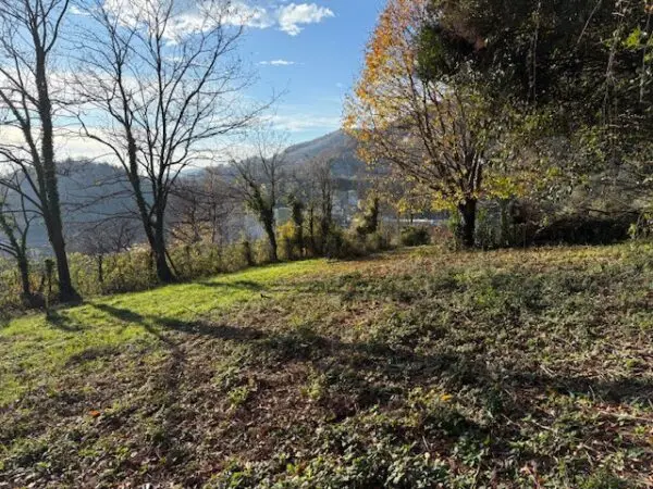 Terreno Agricolo via Trevasco 48, Nembro