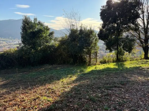 Terreno Agricolo via Trevasco 48, Nembro
