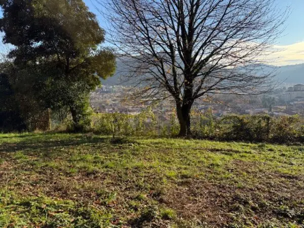 Terreno Agricolo via Trevasco 48, Nembro