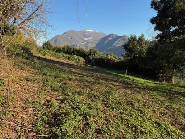 Terreno Agricolo via Trevasco 48, Nembro