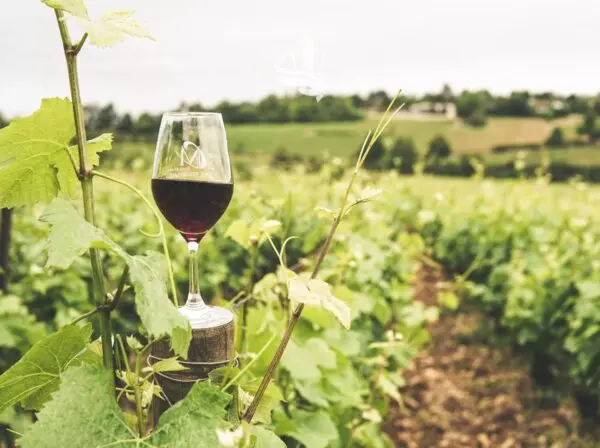Terreno Agricolo Caldaro Sulla Strada Del Vino