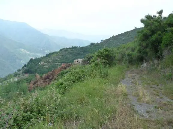 Terreno Agricolo via Località Montalto Ligure L 2, Montalto Carpasio