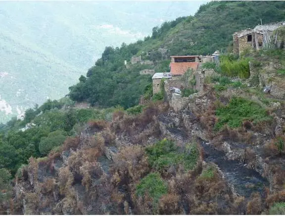 Terreno Agricolo via Località Montalto Ligure L 2, Montalto Carpasio