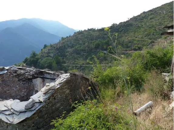 Terreno Agricolo via Località Montalto Ligure L 2, Montalto Carpasio