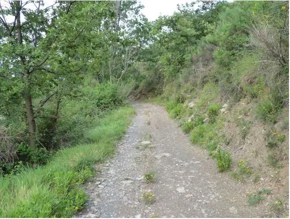 Terreno Agricolo via Località Montalto Ligure L 2, Montalto Carpasio