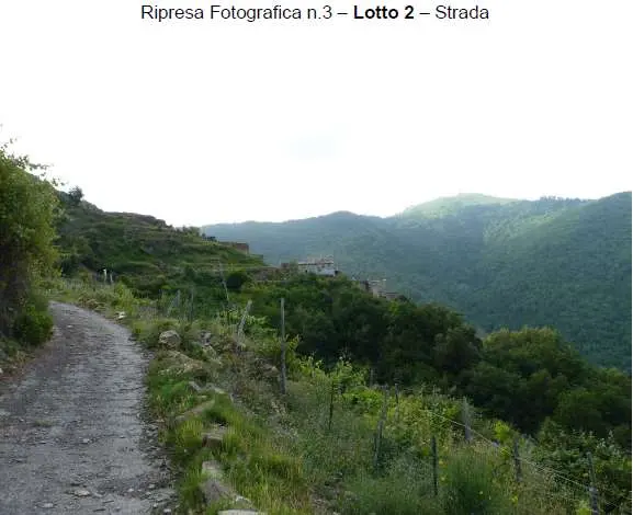 Terreno Agricolo via Località Montalto Ligure L 2, Montalto Carpasio
