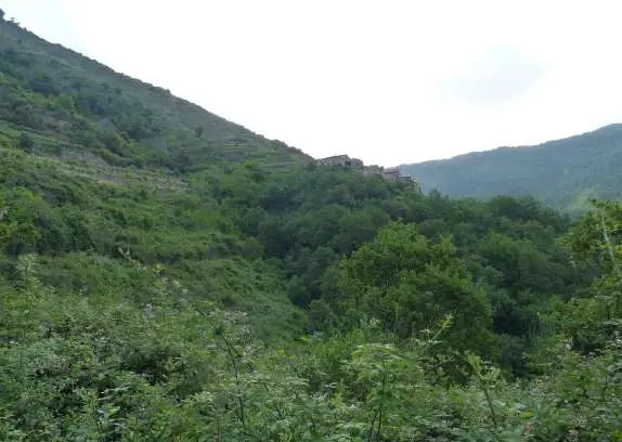 Terreno Agricolo via Località Montalto Ligure L 2, Montalto Carpasio