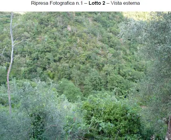 Terreno Agricolo via Località Montalto Ligure L 2, Montalto Carpasio