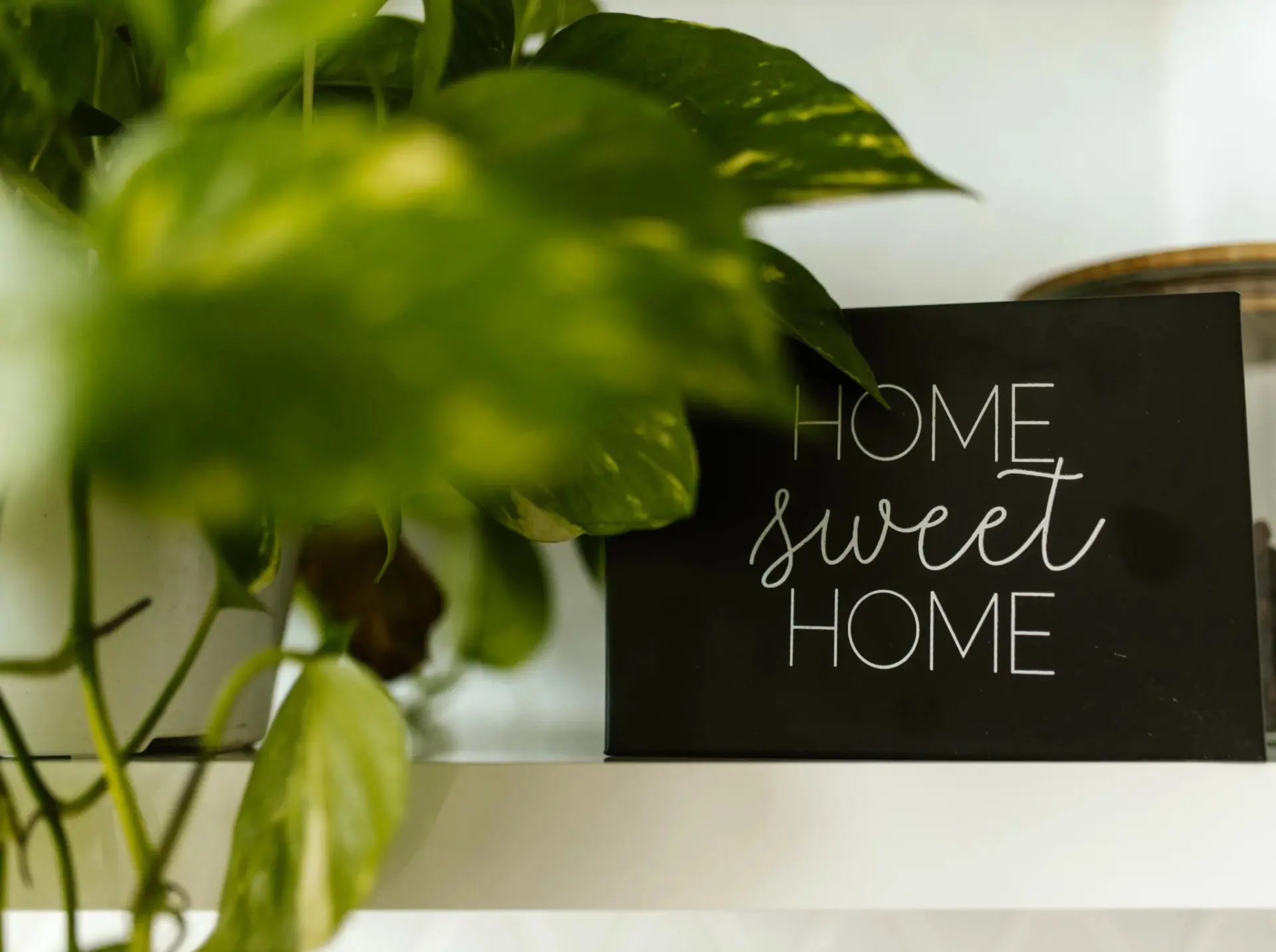 Immagine per Appartamento in vendita a Laives