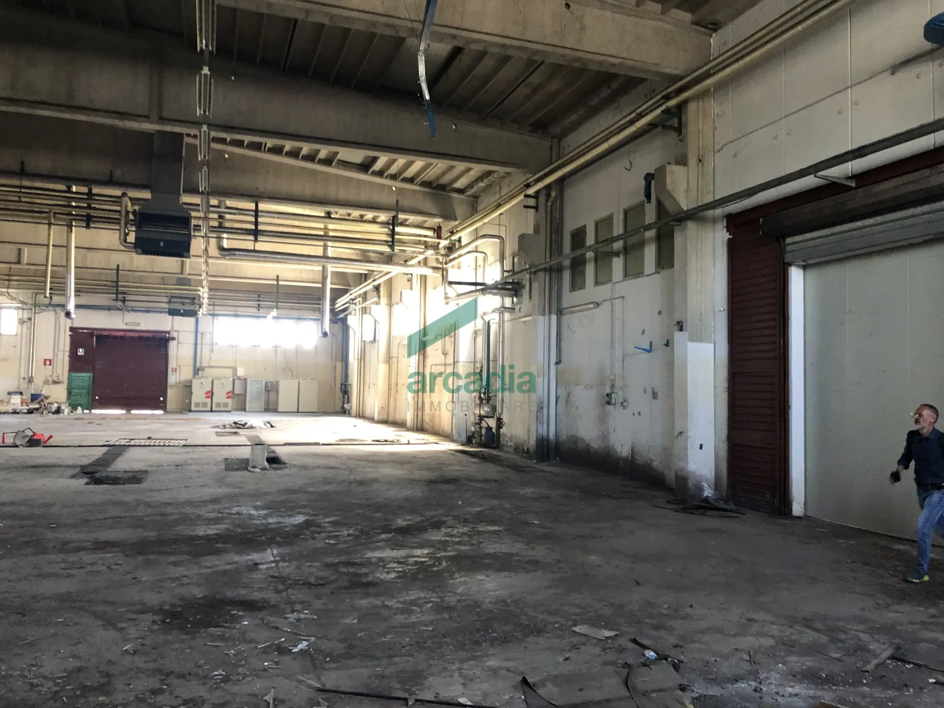 Immagine per Industriale in affitto a Modugno via Sp 231