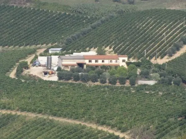 Azienda Agricola via Bivio Madonna Delle Piane, Ripatransone