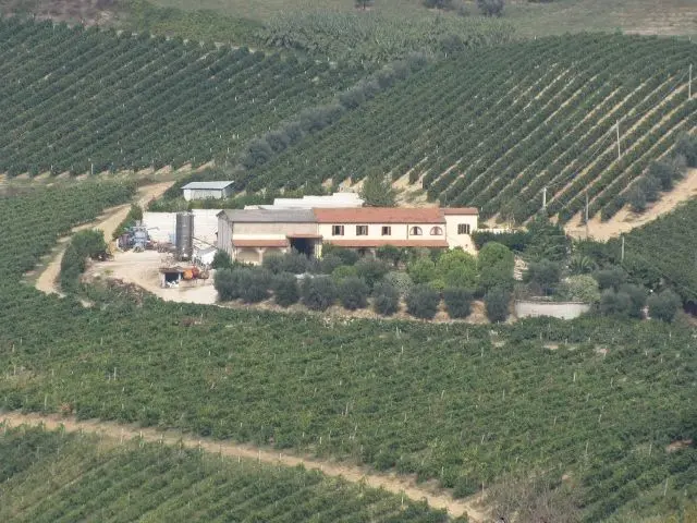 Immagine per Azienda agricola in vendita a Ripatransone via Bivio Madonna Delle Piane
