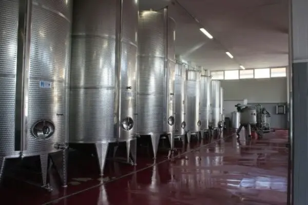 Azienda Agricola via Bivio Madonna Delle Piane, Ripatransone