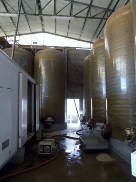 Azienda Agricola via Bivio Madonna Delle Piane, Ripatransone