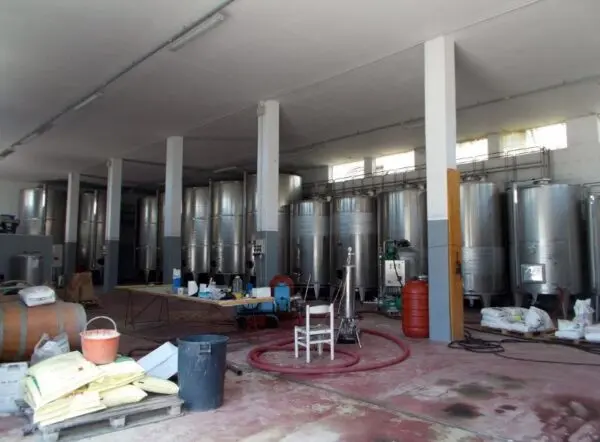 Azienda Agricola via Bivio Madonna Delle Piane, Ripatransone