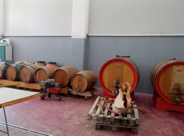 Azienda Agricola via Bivio Madonna Delle Piane, Ripatransone