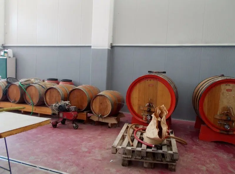 Immagine per Azienda agricola in vendita a Ripatransone via Bivio Madonna Delle Piane