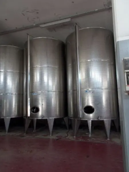 Azienda Agricola via Bivio Madonna Delle Piane, Ripatransone