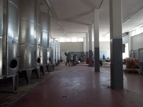 Azienda Agricola via Bivio Madonna Delle Piane, Ripatransone