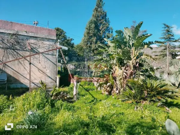 Casa Indipendente via Contrada Scorciavacca, Mascali