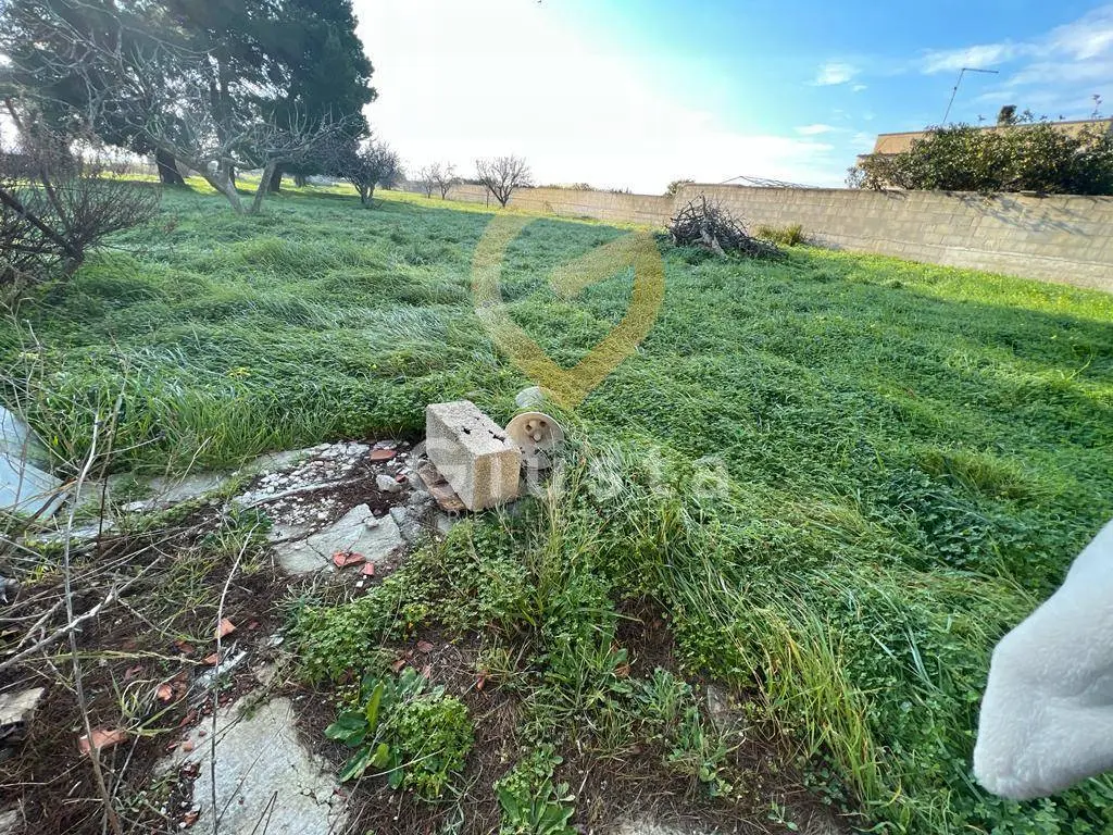 Immagine per Agriturismo in vendita a Brindisi Strada Provinciale  per Restinco 