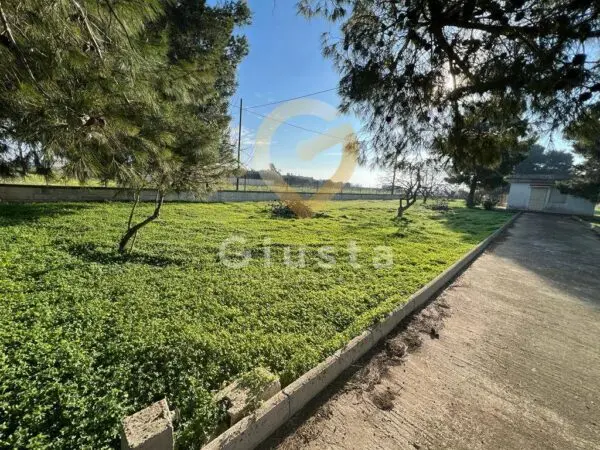 Agriturismo strada Provinciale Per Restinco, Brindisi