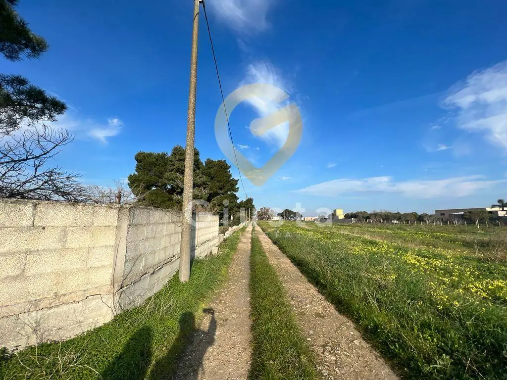 Immagine per Agriturismo in vendita a Brindisi Strada Per Restinco 