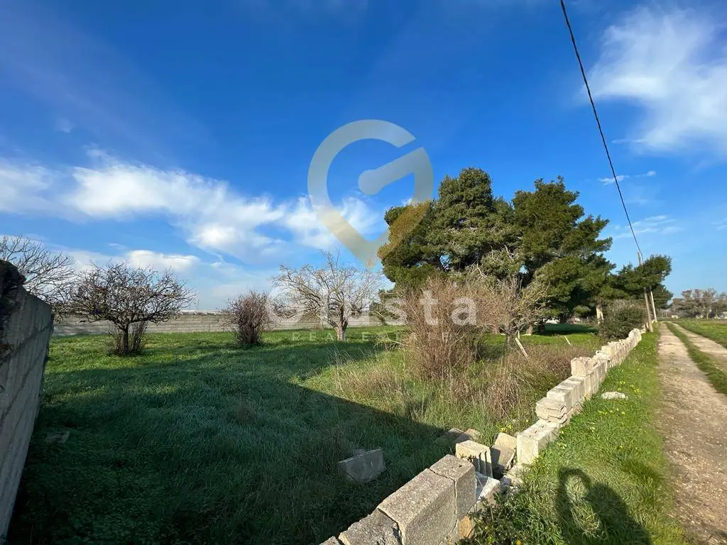 Immagine per Agriturismo in vendita a Brindisi Strada Per Restinco 
