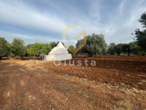Baita/Chalet/Trullo strada Provinciale 28 snc, Ceglie Messapica