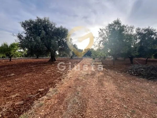 Baita/Chalet/Trullo strada Provinciale 28 snc, Ceglie Messapica