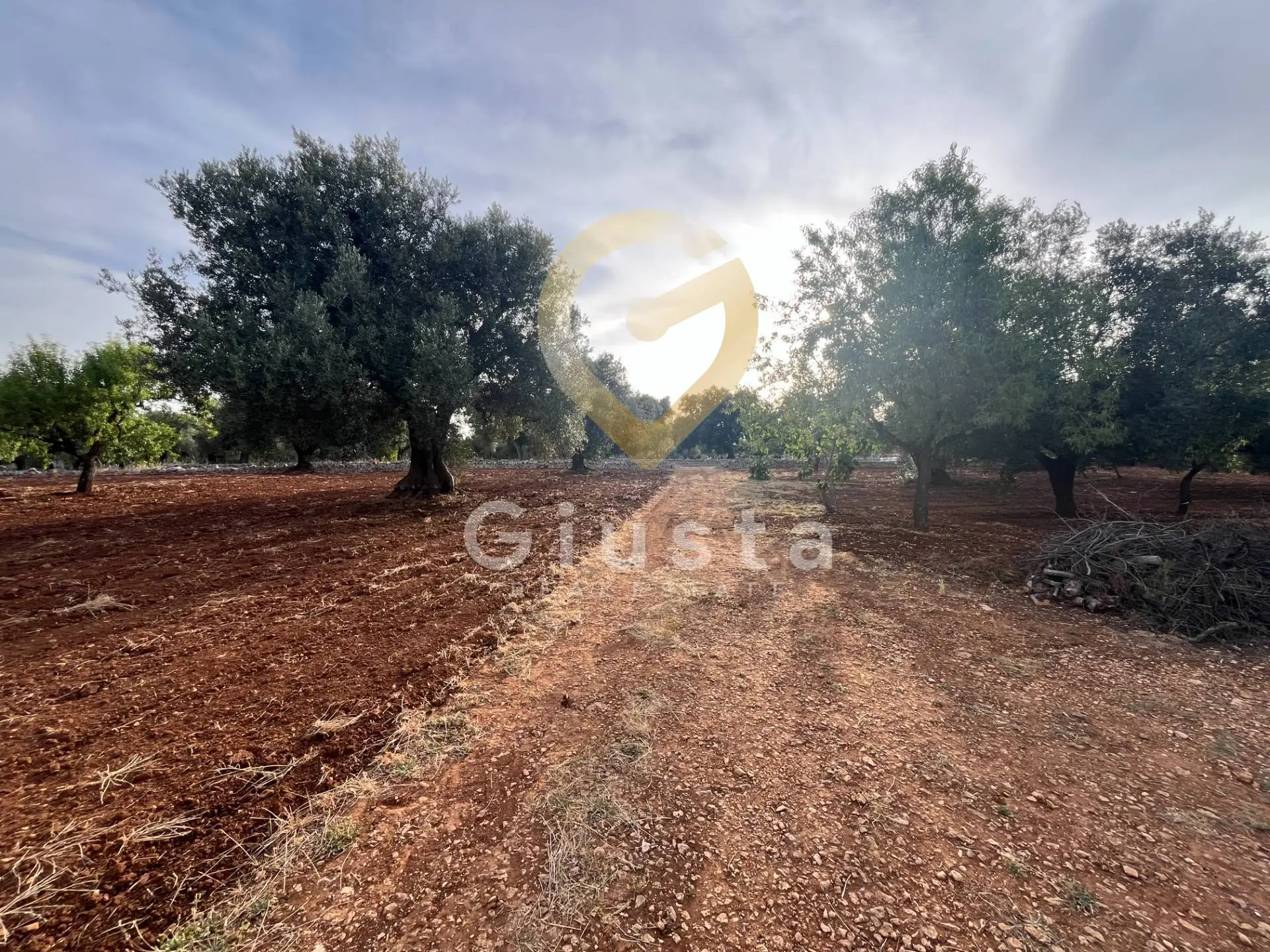 Immagine per Baita/Chalet/Trullo in vendita a Ceglie Messapica Strada Provinciale 28 snc