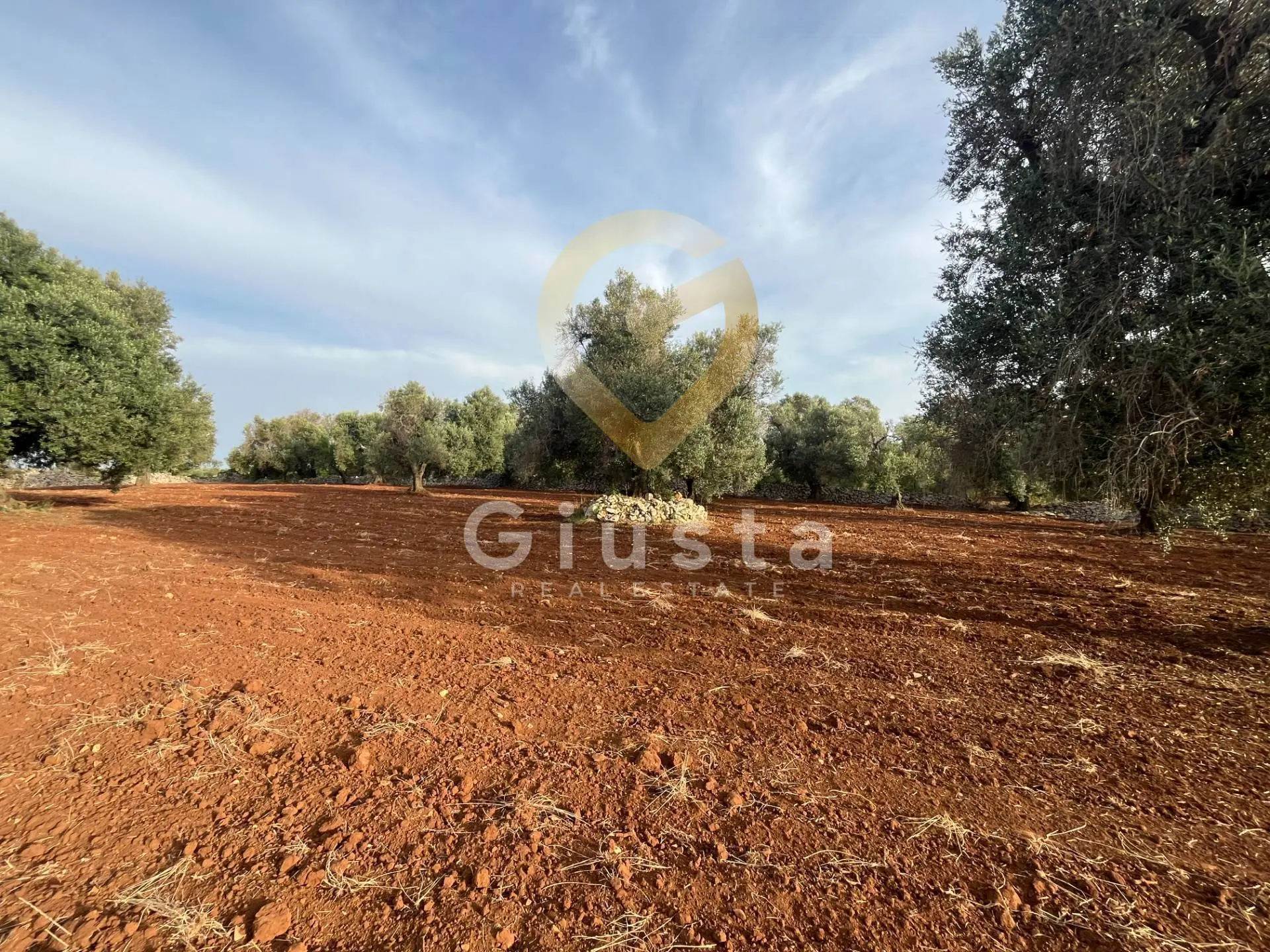 Immagine per Baita/Chalet/Trullo in vendita a Ceglie Messapica Strada Provinciale 28 snc